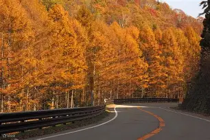 C?	驒q缑b-b?軿蚗9(粖骞村鏆戞槸鍑狅拷019锟藉嚑aa86)